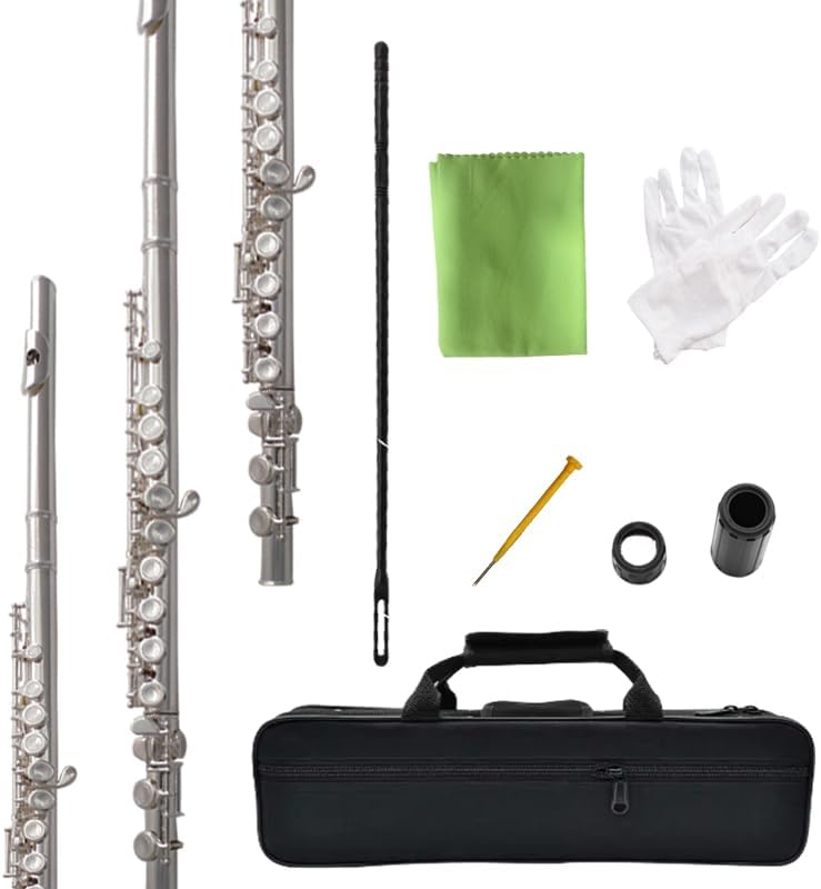 HOGSN flute 16-hole closed-hole C-tone nickel-plated, beginner to play graded flute, with box and cleaning kit. - Image 1